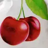 beckyklines - @thematterdattys - TikTok
