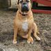 Becky Klinger - Facebook