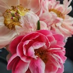 Becky Klug - Facebook