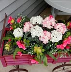 Rebecca Klug - Facebook
