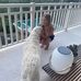 Becky Knowles - Facebook