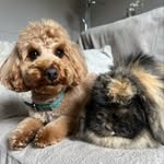Becky Knowles - @alfieamberautumn - Instagram