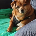 Becky Knowles Cummings - @forktruck59 - Instagram