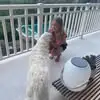 beckyknowles54 - @beckyknowles54 - TikTok