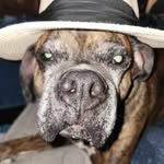 Becky Kohler - @becky.kohler.7 - Instagram