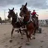 Becky Koning - @becky.koning5 - TikTok
