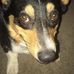 Rebecca Kroll - Facebook
