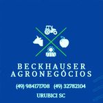 Beckhauser Agronegócios - @beckhauser_agronegocios - Instagram