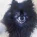 Becky Lawrence - Facebook