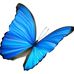 Becky Leitner - Facebook