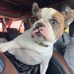 Becky LeMay - @belle_n_beast_adventures - Instagram