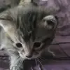 Becky Leon Davis - @becky.leon.davis - TikTok