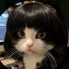 Becky🩶 - @beckylevi - TikTok