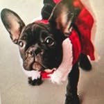 Becky Libby - @libbybecky - Instagram