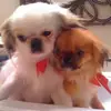 beckylibby5 - @beckylibby5 - TikTok