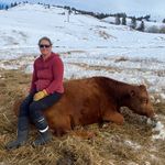 Becky Wilf Lindquist - @wrlindquist - Instagram