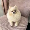 Becky Logan - @becky.logan8 - TikTok