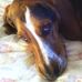 Becki Lorimor - Facebook