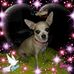 Becky Lorimor - Facebook
