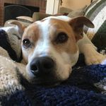 Becky Lowry - @booky6836 - Instagram