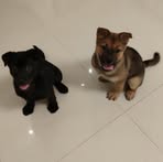 Becky Lui - Facebook