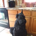 Becky Lunde - Facebook