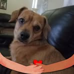 Becky Luttrell - Facebook