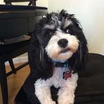 Becky Maciel Hunt - @beckythejeweler - Instagram