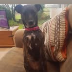 Becky Mackenzie - Facebook