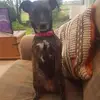 beckymackenzie497 - @beckymackenzie497 - TikTok