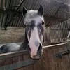 beckymackenzie666 - @beckymackenzie666 - TikTok