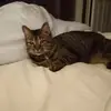 Becky - @beckymaples4 - TikTok