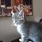 Becky March - Facebook