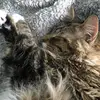 Becky March - @bootsie54 - TikTok