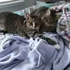 markhamabecky - @markhamabecky - TikTok