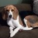 Becky Marks - Facebook