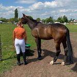 Becky Marks🇬🇧 - @topmarksequestrian - Instagram