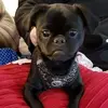 Becky Mason - @becky.mason71 - TikTok