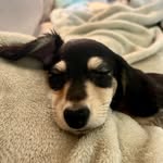 Becky Mathis - @sumicricketswayzefreeway - Instagram