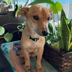 Becky Mathis Meyers - @rocketbear11 - Instagram