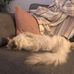 Becca Maxted - Facebook