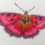 Becky Maxted - @becky.maxted - Instagram