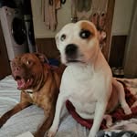 JoeAnd Becky Lucas-Mayhall - @beckymayhall5150 - Instagram