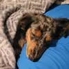 Becky Mazeikas - @beckymazeikas - TikTok