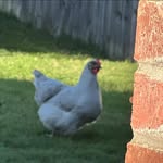 Becky McAfee - @boonanny52 - Instagram