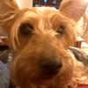 Becky S - @beckymccafferty61 - TikTok