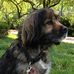 Becky McCarter - Facebook