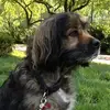 Becky McCarter - @becky.mccarter - TikTok