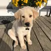 Becky McCoy - @beckymccoy09 - TikTok