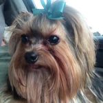 Becky Berryhill McCrary - @beckynbruce - Instagram